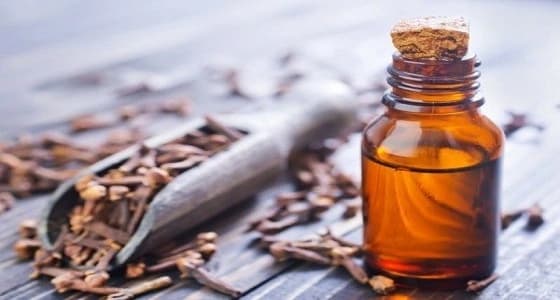 زيت القرنفل معالج لحب الشباب ومعطر للفم
