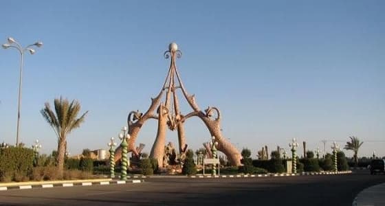 العثور على جثة متحللة لعاملة في ضباء