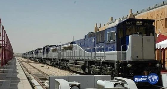 " مدني المدينة " يباشر 16 بلاغاً بين سقوط أشجار ومظلات واحتجازات دون إصابات