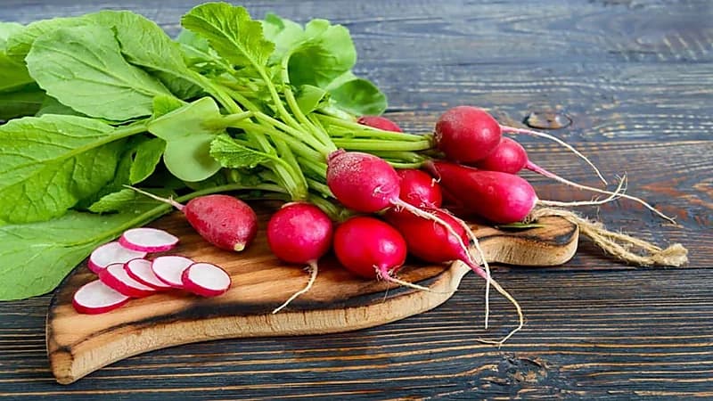 تحذير من تناول الفجل عند الإصابة بعدة أمراض