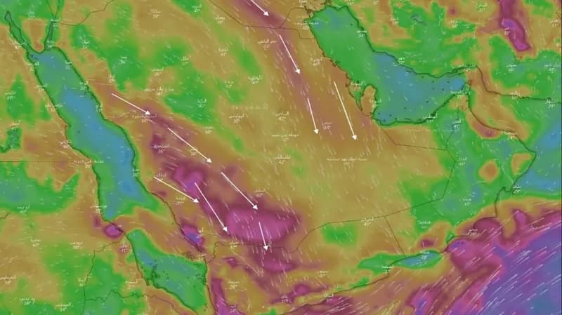 "المسند": يفضل ري المحاصيل مساءً لتقليل نسبة البخر