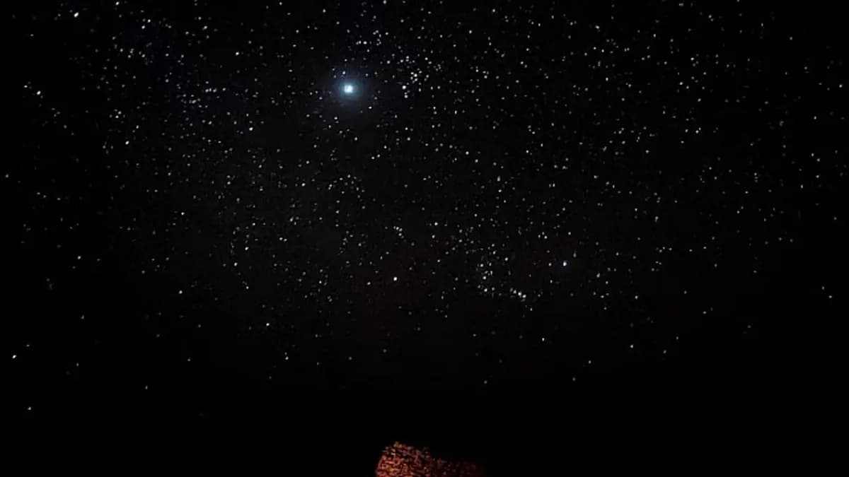 4f092e99-212d-472c-84a7-3db28ea8df87.jpg