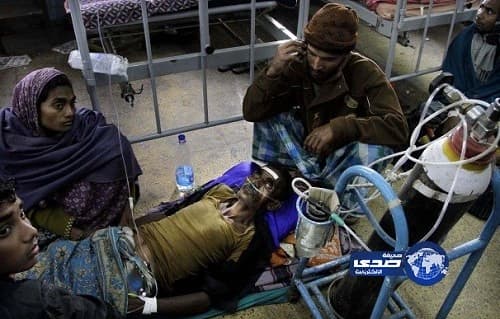 بالفيديو.. حمام نظافة لأسد ضخم على يد مالكه