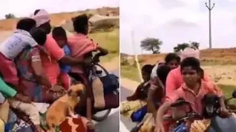 مقطع صادم لـ 7 أشخاص وكلبان ودجاجة على دراجة نارية واحدة