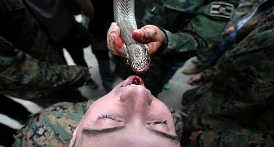 فيديو مروع لجنود يتناولون دماء ثعابين ويأكلون السحالي