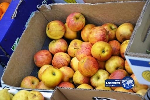 بالفيديو.. خروج ثعبان من تكييف لاصطياد فأر