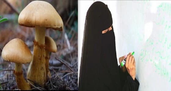 معلمة أحياء تستثمر المخلفات المدرسية في استزراع الفطر