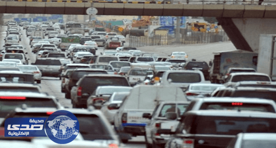 إحصاء: 711 أسرة في المملكة تمتلك أكثر من 10 سيارات