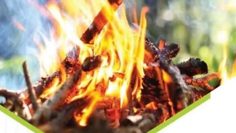 ضبط 26 مخالفًا لنظام البيئة لإشعالهم النار في أراضي الغطاء النباتي