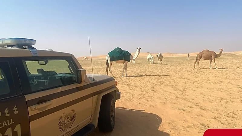 ضبط مخالف لنظام البيئة لارتكابه مخالفة رعي