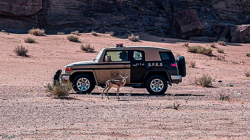 ضبط مواطن مخالف لنظام البيئة