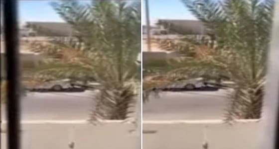 فيديو.. رد فعل عمالة باكستانية على مواطن طلب منهم قطع شجرة من الطريق العام