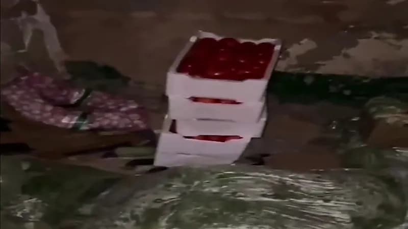 شاهد.. أمانة الرياض تداهم مستودعا لحفظ الخضار والأطعمة