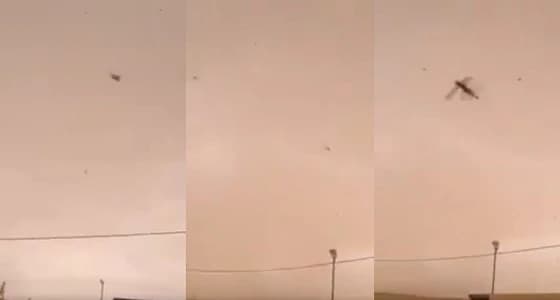 " البيئة " تكشف حقيقة المقطع المتداول بشأن جراد يغزو المملكة