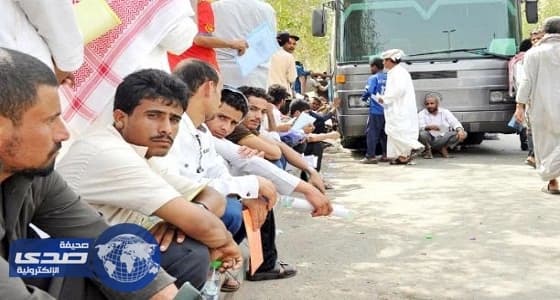 السماح للوافد بالاستثمار في المهن الحرة مقابل ضريبة 20% سنويًا