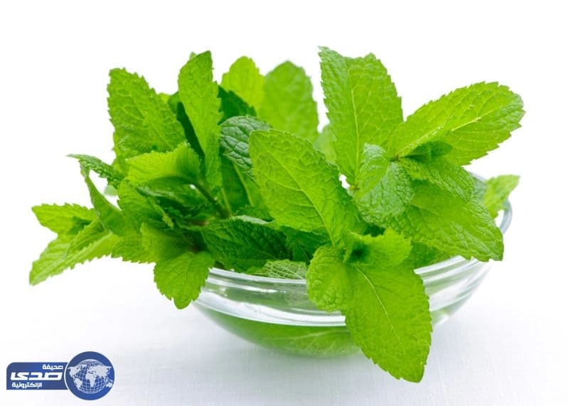 تعرفي على خلطة  النعناع لتنحيف الخصر خلال 7 أيام