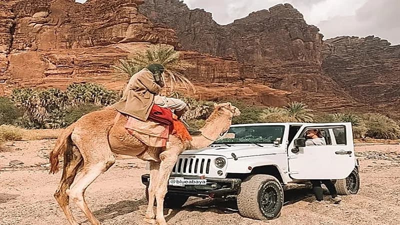 بالصور.. رحالة فنلندية توثق مشاهد بديعة لرحلتها بوادي الديسة في تبوك