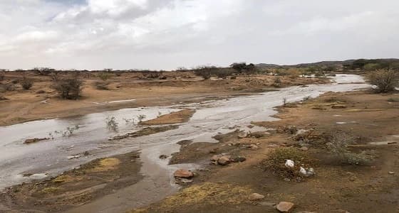 بالصور.. أحياء الطائف تشهد أمطارا غزيرة