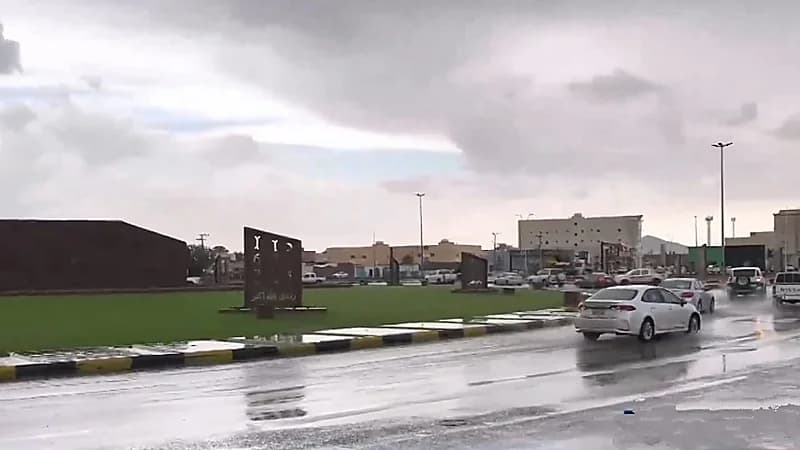 محلل الطقس: ستنخفض درجات الحرارة في الرياض إلى 10 درجات .. فيديو