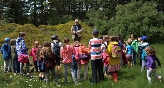 دراسة: التعليم في الاماكن الطبيعية أفضل لتركيز الأطفال