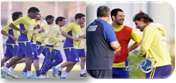 بالفيديو.. سناجب يسرقون أعلام أمريكية لبناء عش