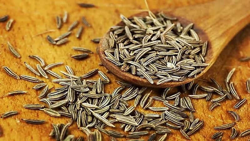 فوائد عديدة يوفرها "الكمون" للصحة