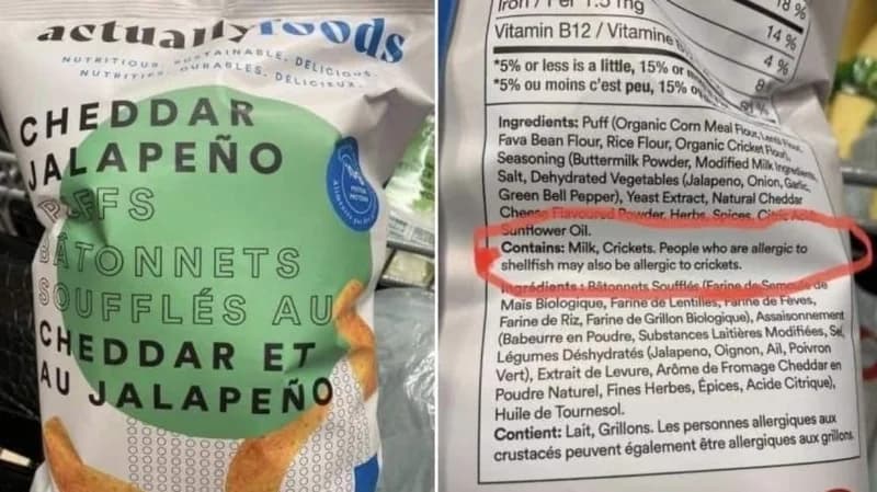 "صورة".. إضافة الحشرات إلى الطعام في اوروبا