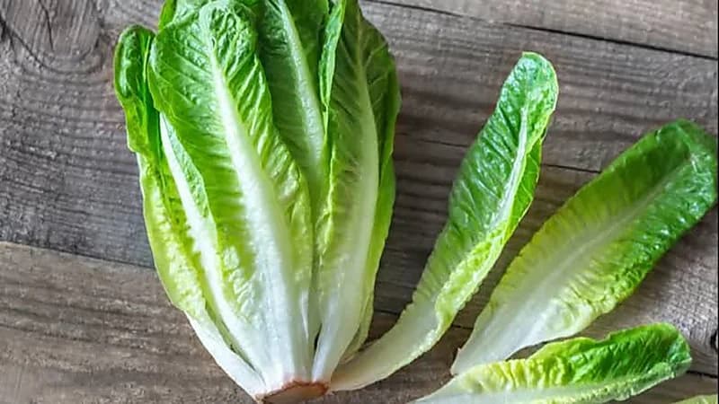 فوائد صحية غير متوقعة لتناول الخس قبل النوم