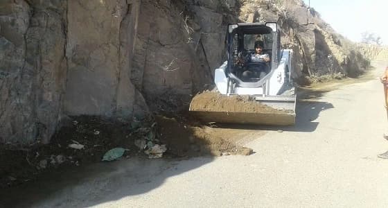 بالصور.. صيانة أعمدة الإنارة  وتنظيف الشوارع بفيفاء