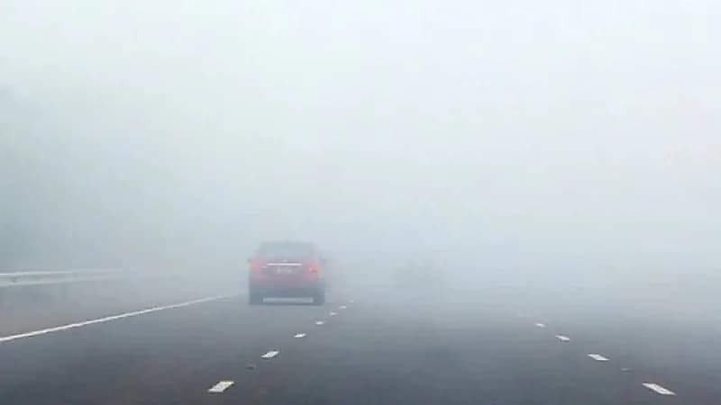 "الأرصاد" تحذر من ضباب على ينبع والرايس وتدَّن في مدى الرؤية