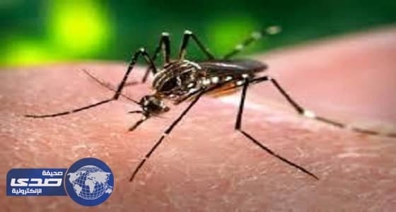 هدد بقتل ناموسة فعاقبه موقع تويتر