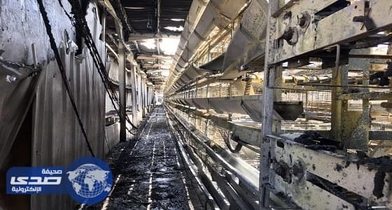 مدني المدينة يخمد حريقا بمزرعة دواجن