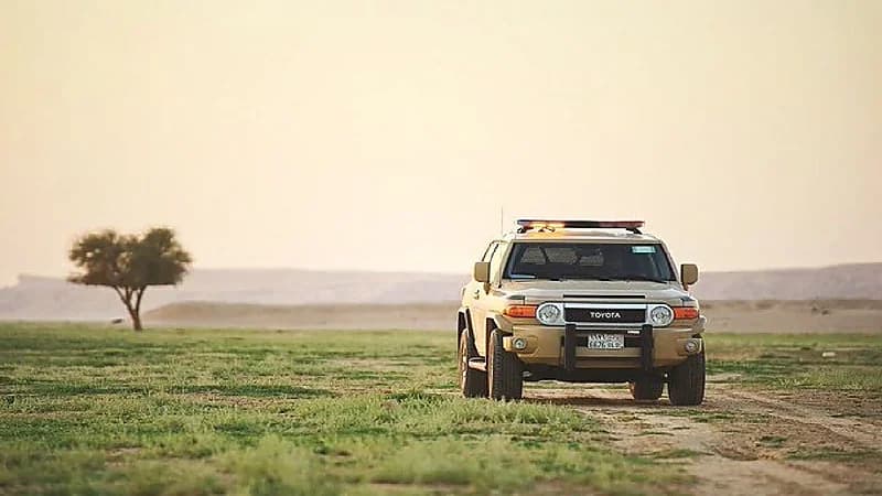 9090a768-bc28-4a51-b1dd-0df89a321611.jpg