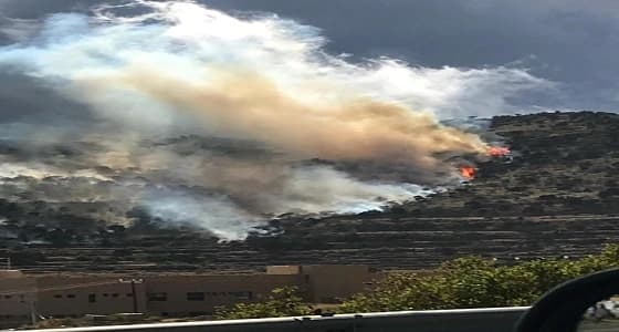 اندلاع حريق ضخم بأشجار العرعر في أبها