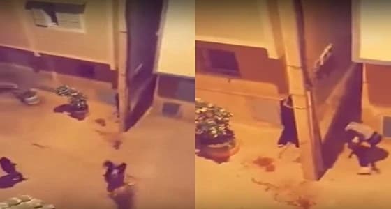 بالفيديو.. مشاجرة بالسيوف تثير ذعر الأهالي