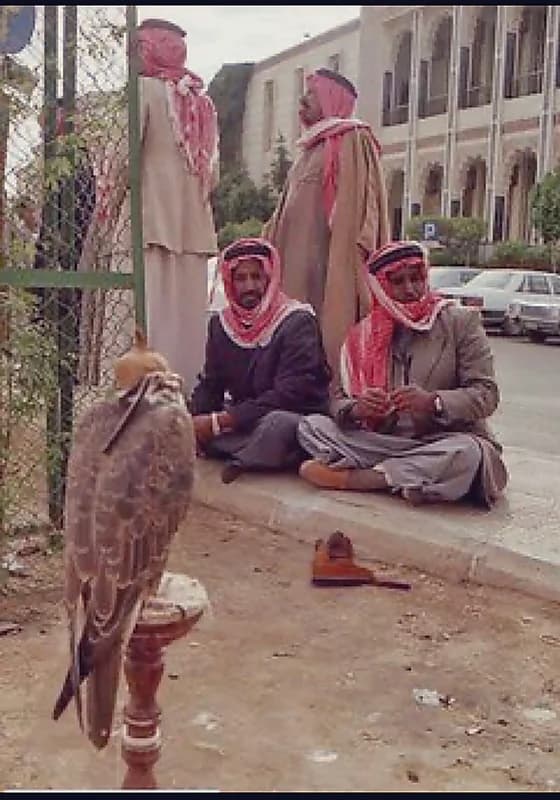 سوق الصقور في الثمانينات الميلادية