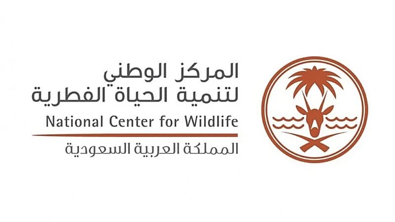 الحياة الفطرية تكشف عن ضوابط ومعايير الصيد البري المستدام