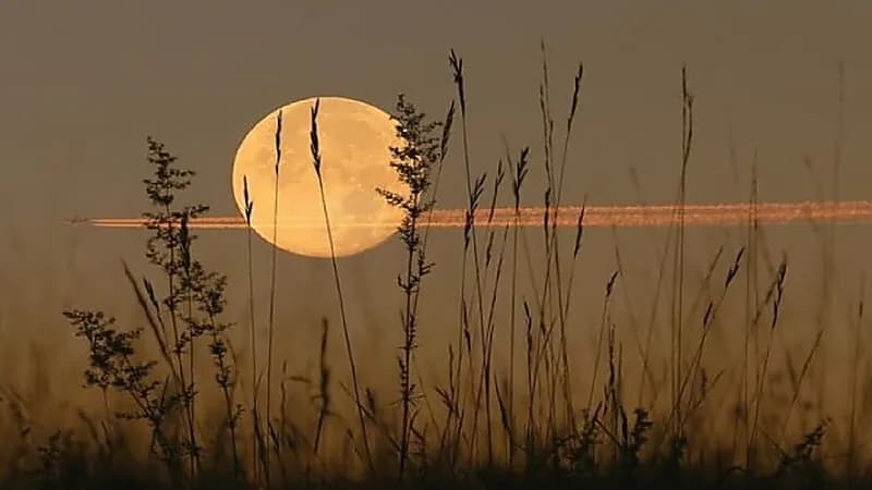 فلكية جدة تكشف موعد رصد "قمر الحصاد"