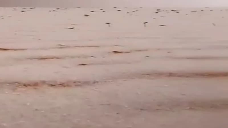 شاهد.. رمال الصحراء الحمراء تكتسي بالبياض بعد نزول حبات البرَد بسكاكا