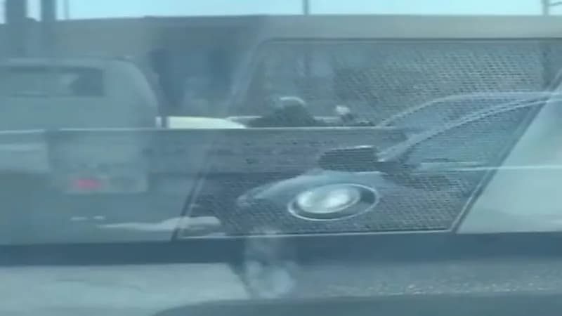 شاهد.. الجهات الأمنية المختصة تواصل جهودها بالقبض على المتسولين