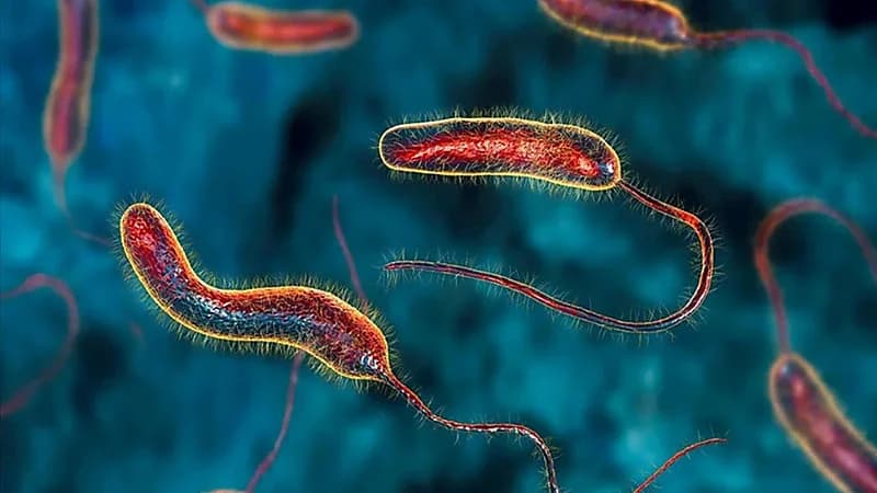 الكويت ترصد أول إصابة بـ "الكوليرا"