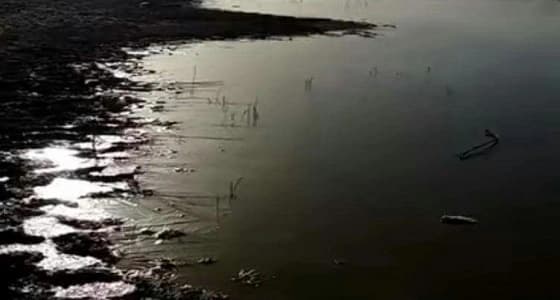 شاهد.. مواطن يوثق تجمد مياه في وادي الرمة