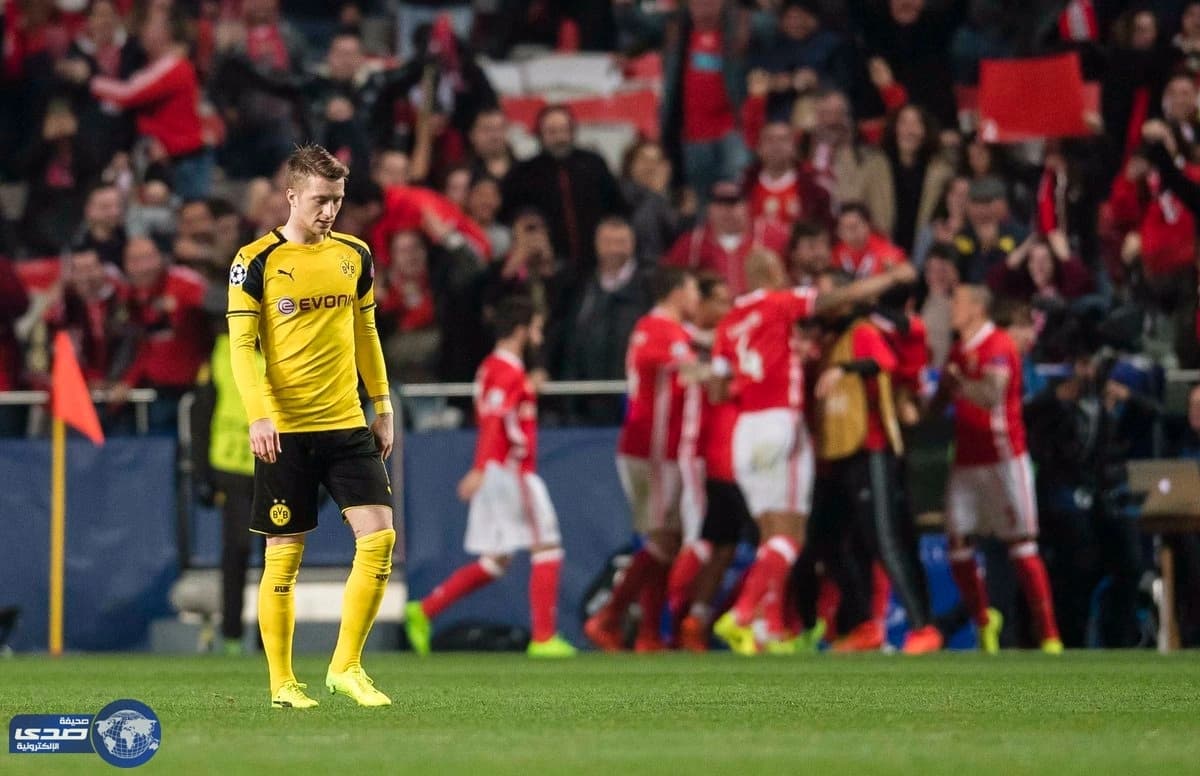 بالفيديو.. دورتموند يسقط بهدف أمام بنفيكا بأبطال اوروبا