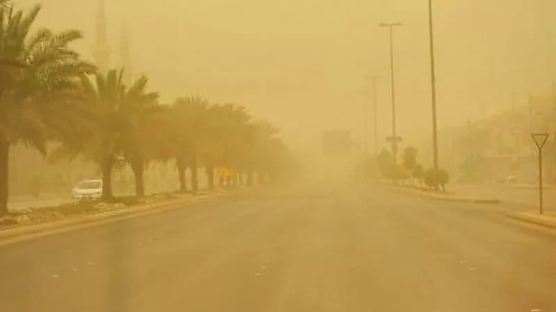 هبوب رياح شديدة تسببت في اقتلاع الأشجار بصبيا 