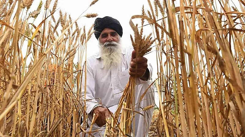 مخاوف من أزمة غذاء عالمية بعد قرار الهند بحظر تصدير القمح