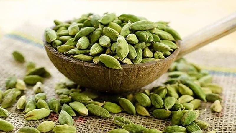 أخصائية تغذية: الهيل قد يسبب إجهاض الحمل