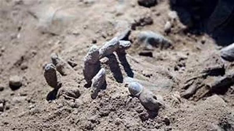 مصري يقتل طليقته ثم يلقي جثتها في منطقة صحراوية