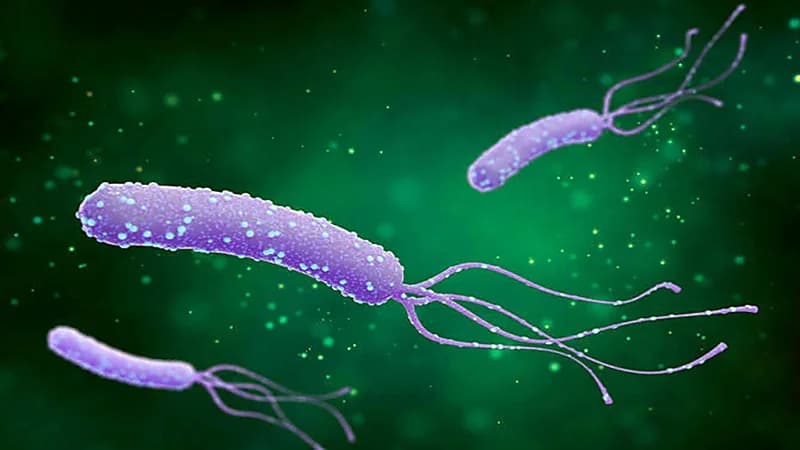 استشاري يكشف عن الحالات التي يُعمل معها فحص جرثومة المعدة