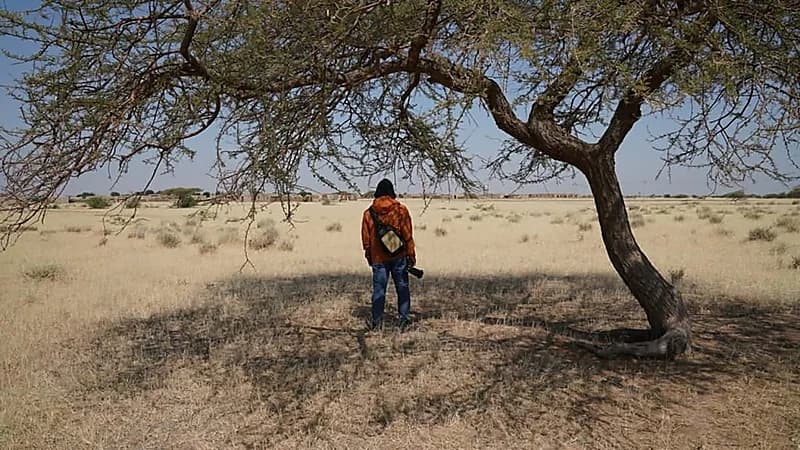  توفير مياه نظيفة ومخيم طبي وسوق جديدة وتعفير وترميم البيوت في بامبي سيرير 