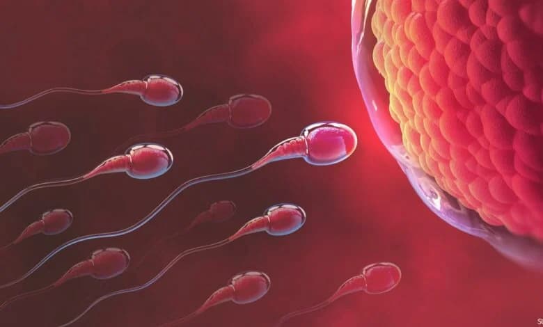 الذكاء الاصطناعي يحل مشكلة العقم لدى الرجال في ثوان